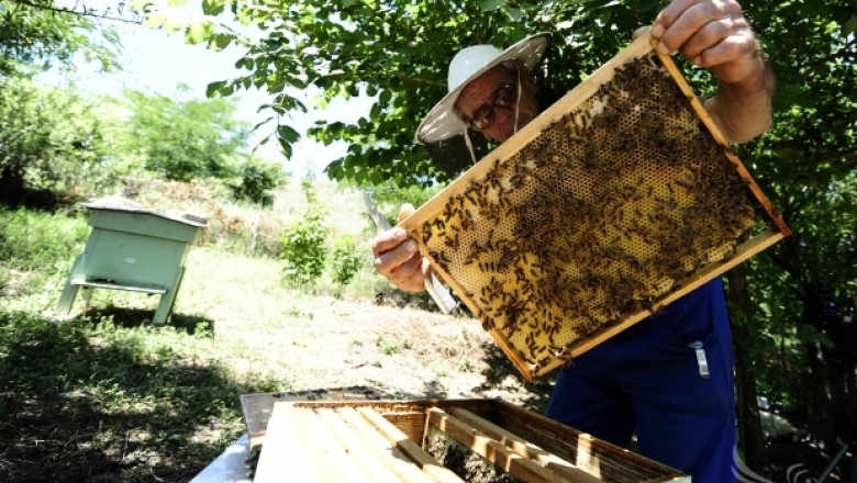 Мария Габриел: Ще преодолеем предизвикателствата пред пчеларството 