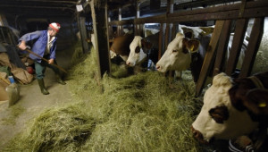 ДФЗ започва прием по схемата de minimis за изхранване на животни - Agri.bg