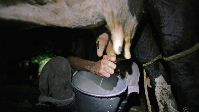 Покупко-продажбата на млечни квоти за кампания 2013/2014 приключи