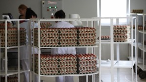 В Крим има недостиг на яйца, мляко и растително масло - Agri.bg