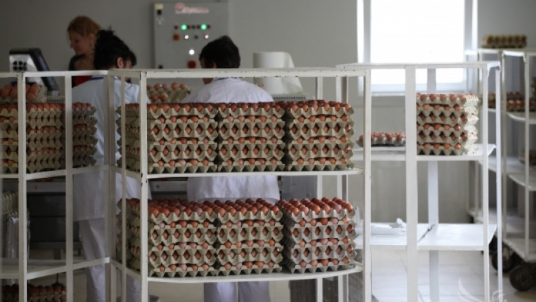 В Крим има недостиг на яйца, мляко и растително масло