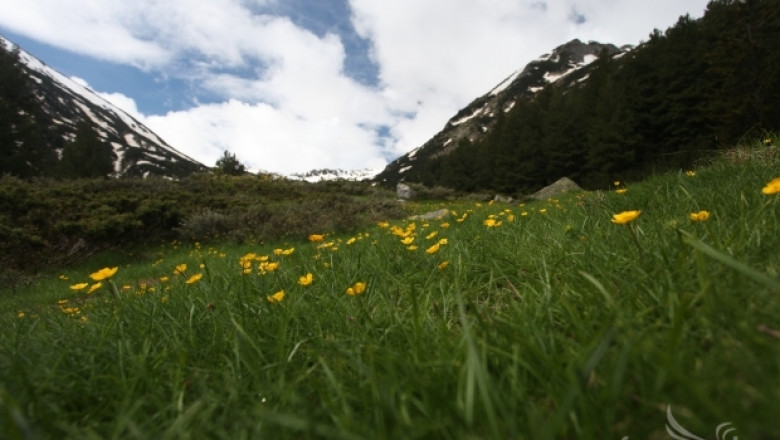 Кметове и евродепутати ще обсъдят в ЕП развитието на планинските райони