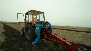Аграрното производство увеличава добавената стойност на икономиката - Agri.bg