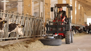Кръгла маса по проблемите на млечния сектор ще се проведе в МЗХ - Agri.bg