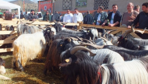 Пролетен празник на животновъдството и земеделието организират в Кресна - Agri.bg