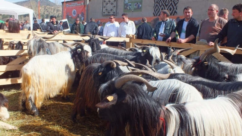 Пролетен празник на животновъдството и земеделието организират в Кресна