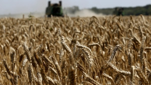Цените на зърното ще намалеят до нивата от 2006-2007 г., според икономисти - Agri.bg