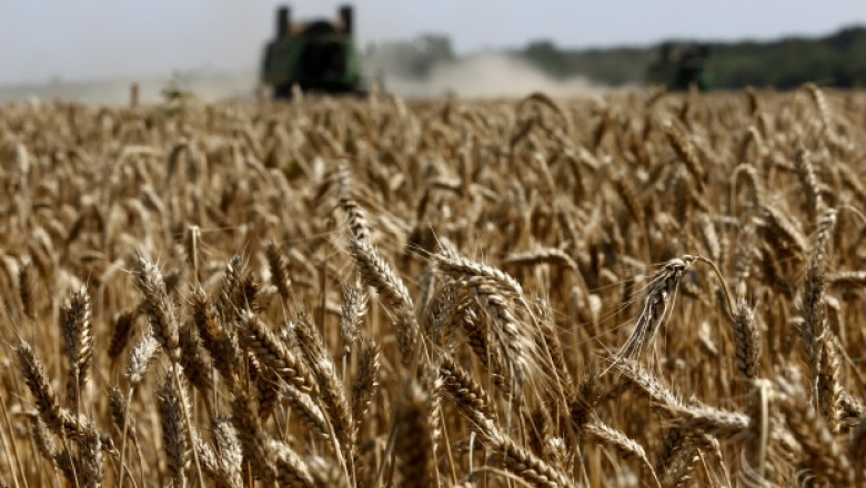 Цените на зърното ще намалеят до нивата от 2006-2007 г., според икономисти
