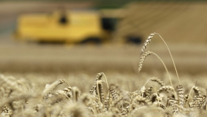 ЕС: Производството на храни ще расте заради износ и производство на биогориво - Agri.bg