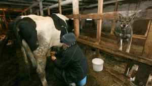 АЗПБ настоява ОСП 2014-2020 да подкрепя дребния и средния фермер (ВИДЕО) - Agri.bg