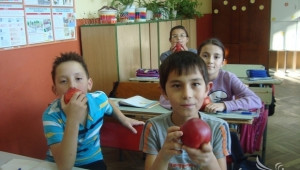 ЕК предлага обединяване на училищните схеми за мляко и плодове - Agri.bg