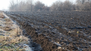 Разясняват Гаранционната схема за земеделие през февруари (ПРЕДСТОЯЩО) - Agri.bg