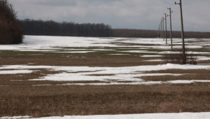 Рязкото застудяване крие рискове за зърнената реколта не само в България - Agri.bg