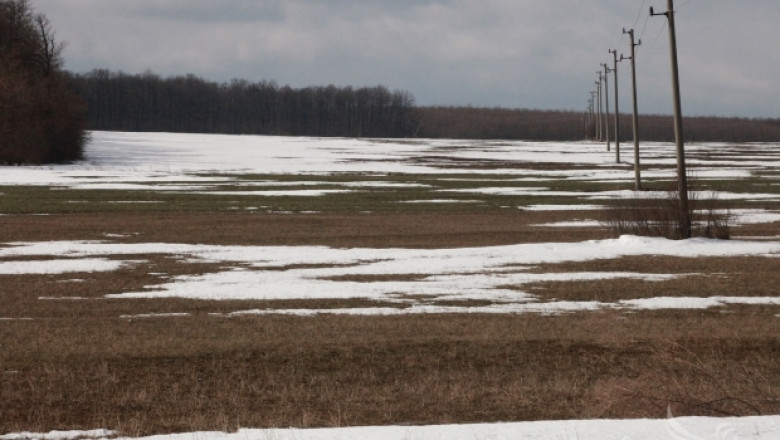 Рязкото застудяване крие рискове за зърнената реколта не само в България