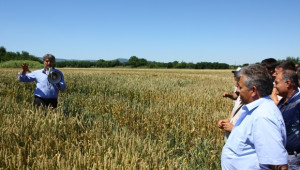 НССЗ: Консултирали сме повече от 20 000 земеделски производители през 2013 г. - Agri.bg