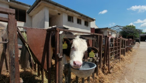 Комисията по земеделие на ЕП ще обсъди Регламент за здравето на животните - Agri.bg