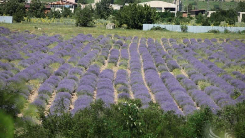 България вече има над 3700 биологични производители