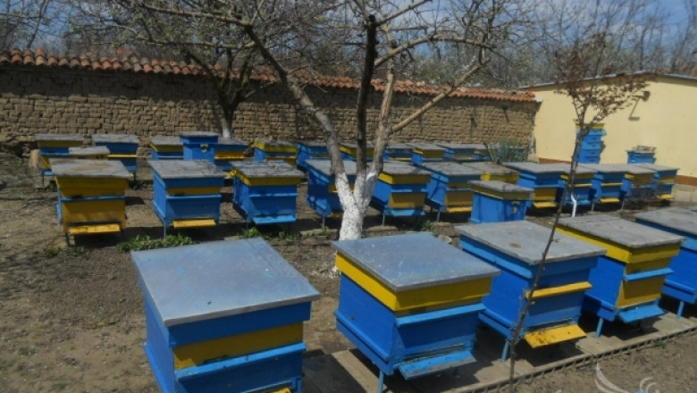 Михаил Михайлов, СБП: Пчеларите ще разчитат само на програма De minimis 