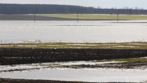 Подготвят се мерки за намаляване риска от суша и наводнения в агросектора - Agri.bg