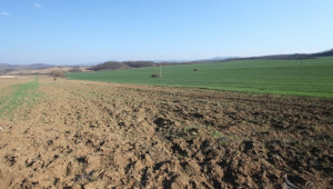 До 6-и януари земеделските производители проверяват заявените площи за 2013 г. (ДОПЪЛНЕНА) - Agri.bg
