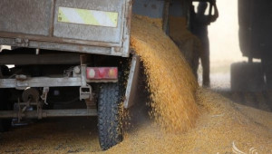 От днес влиза в сила обратното начисляване на ДДС при доставки на зърно и технически култури - Agri.bg