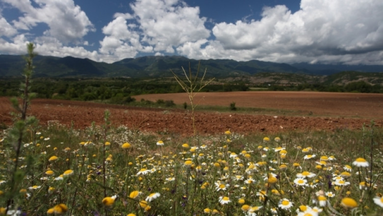 Южнокорейци ще правят биологично земеделие в България
