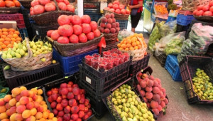БАБХ обяви информация по Схемата за качествени плодове и зеленчуци - Agri.bg