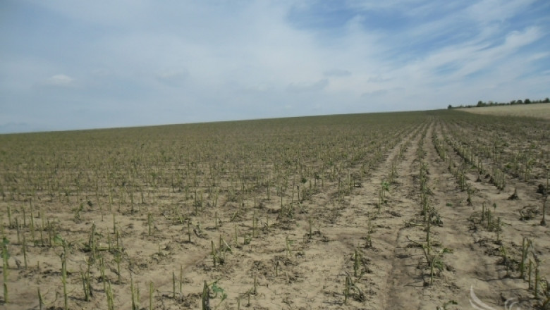 Земеделците ще ползват държавна помощ за пропаднали площи през 2013