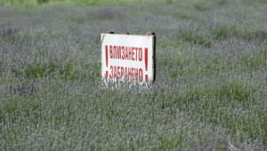 Изплащането на средствата по мярка Агроекология се очаква да започне от днес - Agri.bg