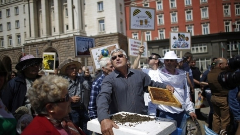 Манол Тодоров, пчелар:  Обединяването на пчеларите е крайно наложително!