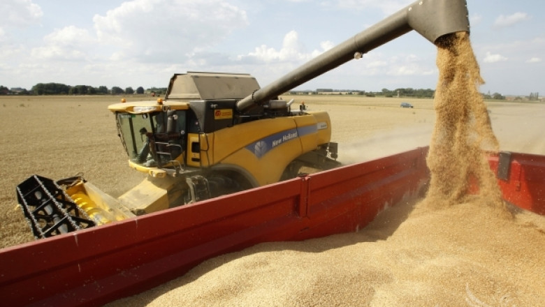 ЕС реализира износ на 572 000 тона пшеница през тази седмица