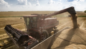 Цената на пшеницата в Западна Европа удари нов 7 месечен връх - Agri.bg