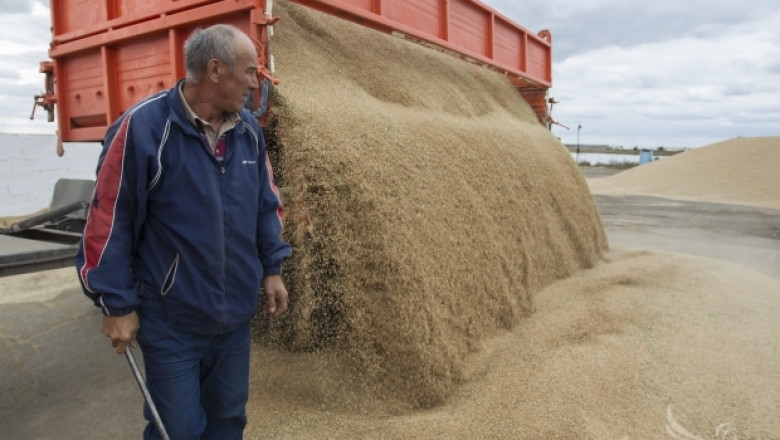 Ново покачване на цената на пшеницата. Алжир купува 50 000 тона евро-пшеница