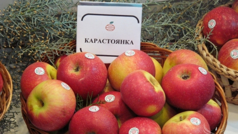 Експерти от фонд „Земеделие” раздават плодове по схемата „Училищен плод”