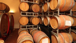 Явор Гечев: Подготвяме промоции на българско вино в различни държави - Agri.bg