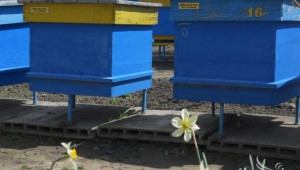 Пчеларска фамилия от Кърджали е отличена с приз Пчелар на България - Agri.bg