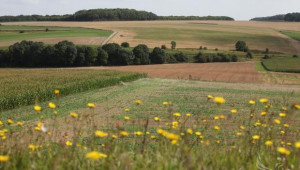 ОСП 2014-2020: По-силните фермери да се справят по-добре с кризите! - Agri.bg