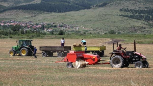 26 са подадените през 2012 г. заявления от млади фермери по мярка 112 в област Търговище - Agri.bg