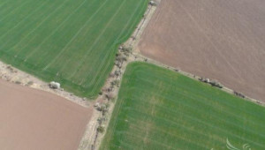 Грешки в системата за идентификация на земеделска земя засекли в Кюстендилско - Agri.bg