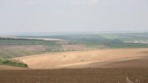 НАЗ: Обратното начисляване на ДДС ще лиши фермерите от 1 млрд. лв. оборотни средства - Agri.bg