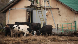 Греков: Подготвяме законови промени за облекчаване на малките млечни ферми - Agri.bg