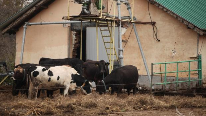 Греков: Подготвяме законови промени за облекчаване на малките млечни ферми