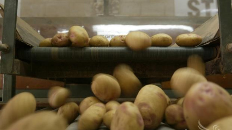 Приключи приемът по схемата за контрол на почвените неприятели по картофите
