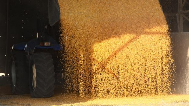 Украйна започна силен експорт на царевица за Китай