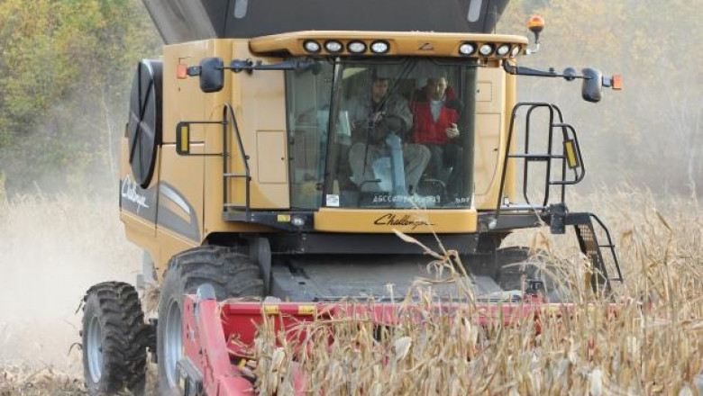 До 800 кг/дка царевица прибират земеделците от област Пазарджик