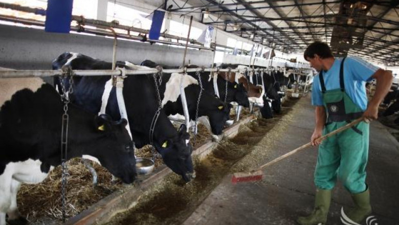 Мерките в животновъдството по ПРСР 2014-2020 обсъждат на среща във Велико Търново