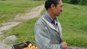 Между 20 и 100 лева е изкупната цена на сушени гъби в Смолянско - Agri.bg