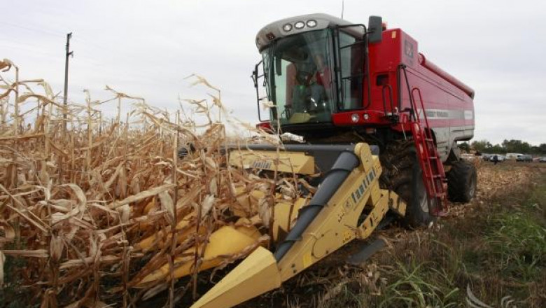 Около 500 кг/дка царевица прибират стопаните в област Видин