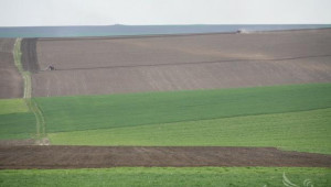 НСИ обяви актуални цени на земеделската земя - Agri.bg