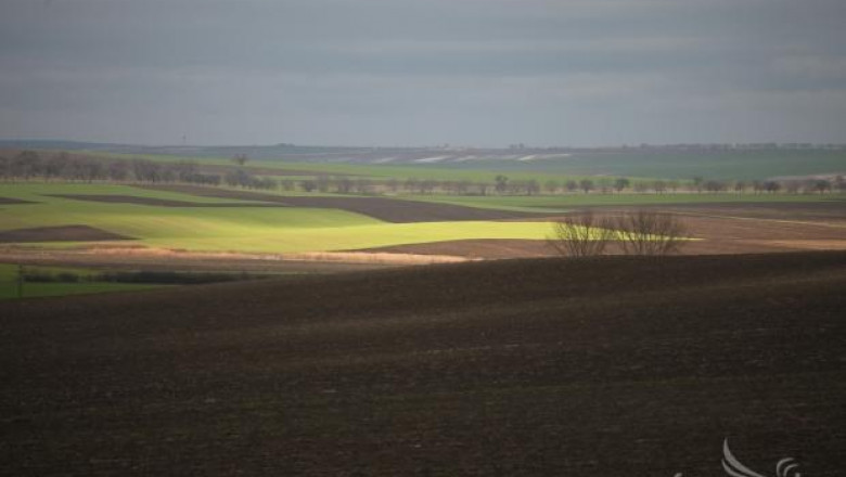 Експерти: Удължаването на мораториума за земеделската земя е чист популизъм